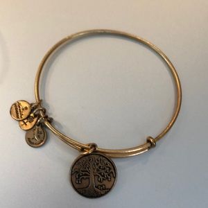 Alex and Ani bracelet
